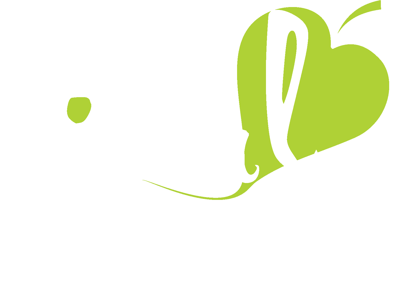 Pipal